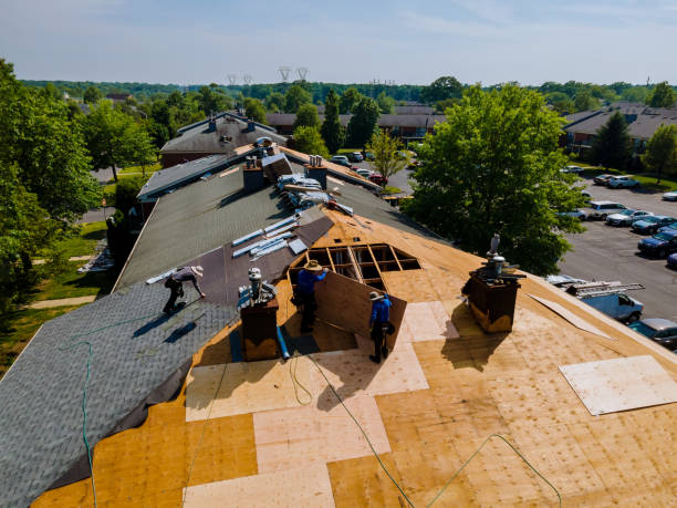 Roof Gutter Cleaning in Bostonia, CA