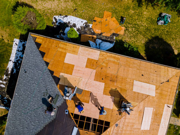 Best Metal Roofing Contractor  in Bostonia, CA